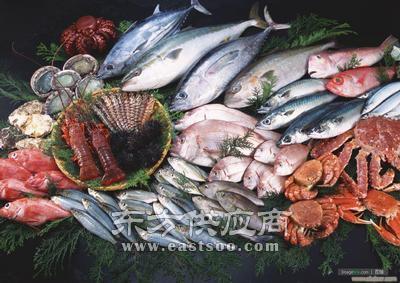 竹木制品进口代理全攻略 北京国际快递与财务管理一站式服务指南