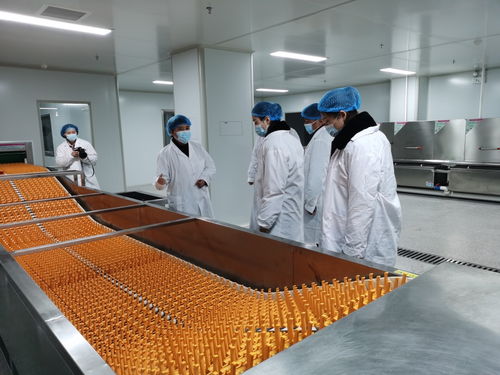 守护校园舌尖安全 通化检察机关联合多部门开展专项监督检查